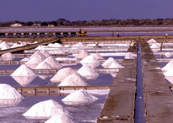 ধ্বংস হৈছে  চুবুৰীয়া দেশৰ অৰ্থনীতি! নিমখৰ বাবে চিঞৰ-বাখৰ, প্ৰতি কিলোগ্ৰামৰ দাম শুনিলে  আচৰিত হ’ব আপুনি…