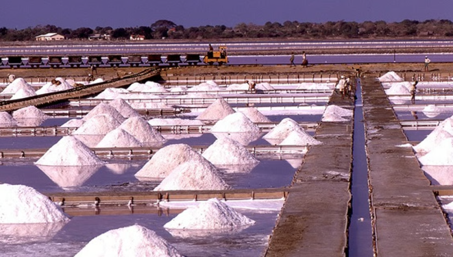 ধ্বংস হৈছে  চুবুৰীয়া দেশৰ অৰ্থনীতি! নিমখৰ বাবে চিঞৰ-বাখৰ, প্ৰতি কিলোগ্ৰামৰ দাম শুনিলে  আচৰিত হ’ব আপুনি…