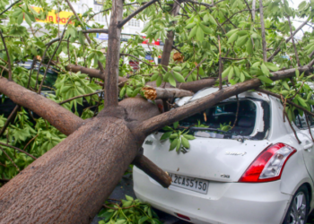 ৰাজধানীত প্ৰচণ্ড ধুমুহা-বৰষুণ; ৩ জন লোকৰ মৃত্যু, কেইবাজনো আহত