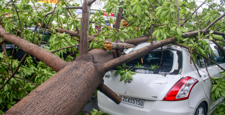 ৰাজধানীত প্ৰচণ্ড ধুমুহা-বৰষুণ; ৩ জন লোকৰ মৃত্যু, কেইবাজনো আহত