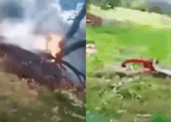 কেদাৰনাথৰ সমীপত ভয়ংকৰ হেলিকপ্টাৰ দুৰ্ঘটনা; ৫ জন লোকৰ মৃত্যু