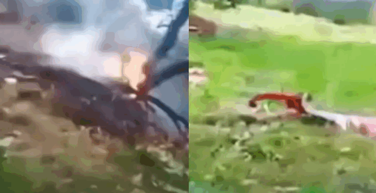 কেদাৰনাথৰ সমীপত ভয়ংকৰ হেলিকপ্টাৰ দুৰ্ঘটনা; ৫ জন লোকৰ মৃত্যু