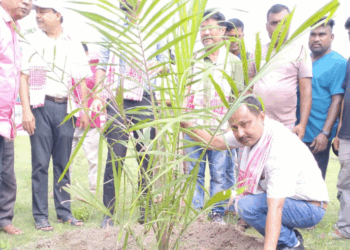 চিৰাঙত জিলা আয়ুক্তৰ উপস্থিতিত বিস্তৃত তৈল খেজুৰ ৰোপন কাৰ্যসূচী