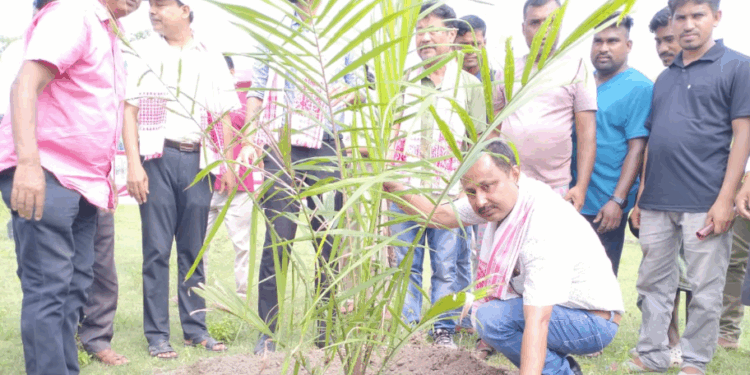 চিৰাঙত জিলা আয়ুক্তৰ উপস্থিতিত বিস্তৃত তৈল খেজুৰ ৰোপন কাৰ্যসূচী
