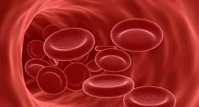 পুৰুষতকৈ আইৰণৰ অভাৱৰ প্ৰৱণতা বেছি মহিলাৰ দেহত! এই লক্ষণবোৰক কেতিয়াও আওকাণ নকৰিব…