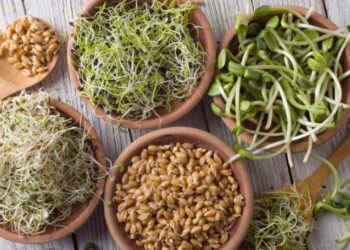 ওজন কমোৱাৰ লগতে হজম শক্তি বৃদ্ধিলৈ…আজিয়েই খাদ্যতালিকাত অন্তৰ্ভূক্ত কৰক এই খাদ্য