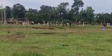 আল্লাহু আকবৰ ধ্বনি আৰক্ষীক আক্ৰমণ উচ্ছেদিতৰ, গুলীবিদ্ধ ১জনৰ প্ৰাণহানি