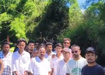 মহিলাৰ সৈতে অপকৰ্মৰ অপচেষ্টা এগৰাকী অনা অসমীয়াৰ