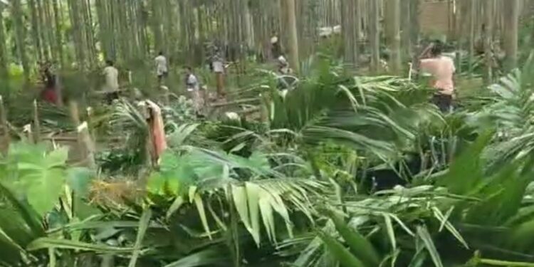 বুলড’জাৰ চলাই প্ৰশাসনে বেদখলমুক্ত কৰিলে উৰিয়ামঘাটৰ ভূমি, অব্যাহত উচ্ছেদ অভিযান