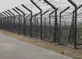 মানকাচৰত BSFৰ হাতত ধৰা পৰিল দুজন ৰহিংগিয়া নাগৰিক