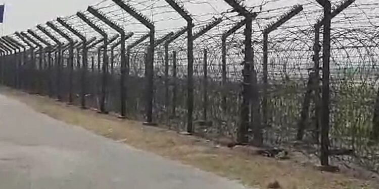 মানকাচৰত BSFৰ হাতত ধৰা পৰিল দুজন ৰহিংগিয়া নাগৰিক