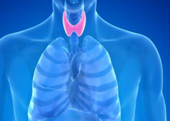 আজিয়েই খাদ্য তালিকাত অন্তৰ্ভুক্ত কৰক এই ৪ খাদ্য, তেন্তে আপোনাকো আমনি নকৰে থাইৰয়ডে