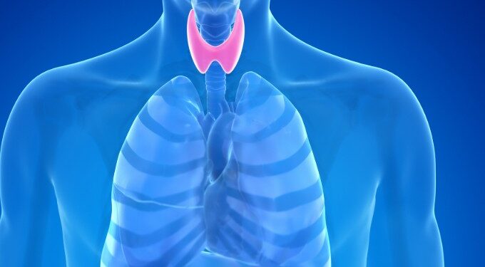 আজিয়েই খাদ্য তালিকাত অন্তৰ্ভুক্ত কৰক এই ৪ খাদ্য, তেন্তে আপোনাকো আমনি নকৰে থাইৰয়ডে