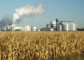 ইথানল মিশ্ৰিত পেট্ৰ’ল ব্যৱহাৰ কৰিবলৈ বাধ্য হৈছে বাহনৰ গৰাকী, উচ্চ ন্যায়ালত শুনানি…