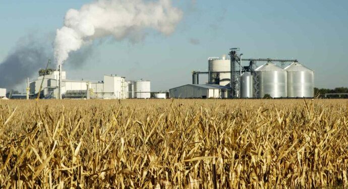 ইথানল মিশ্ৰিত পেট্ৰ’ল ব্যৱহাৰ কৰিবলৈ বাধ্য হৈছে বাহনৰ গৰাকী, উচ্চ ন্যায়ালত শুনানি…