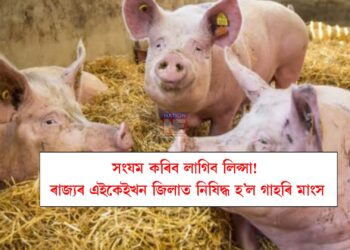 সংযম কৰিব লাগিব লিপ্সা! ৰাজ্যৰ এইকেইখন জিলাত নিষিদ্ধ হ’ল গাহৰি মাংস