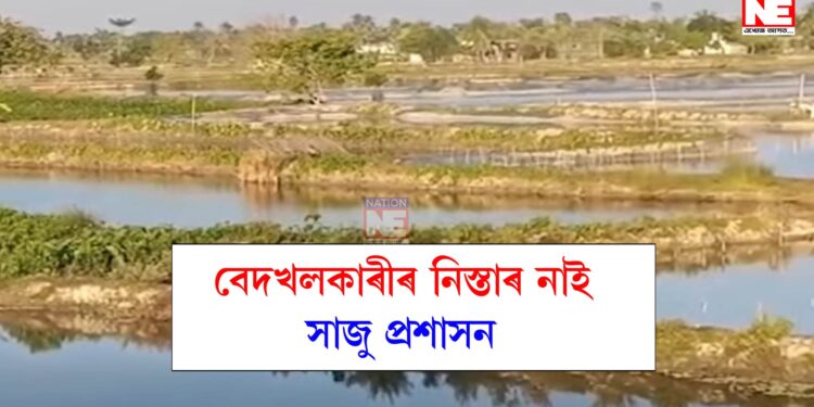 সাজু বুলড’জাৰ, সাজু আৰক্ষী; ১৬ ডিচেম্বৰত পুনৰ আৰক্ষীৰ বৃহৎ উচ্ছেদ