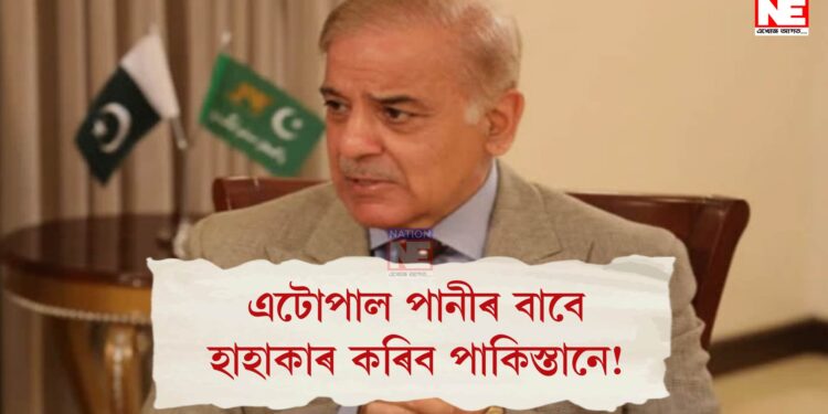 এটোপাল পানীৰ বাবে হাহাকাৰ কৰিব পাকিস্তানে! ভাৰতৰ পিছত আফগানিস্তানৰ তালিবান চৰকাৰৰ ডাঙৰ সিদ্ধান্ত