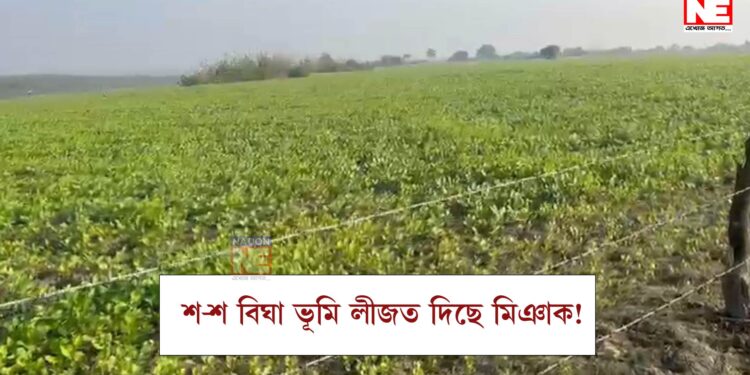শ-শ বিঘা ভূমি লীজত দিছে মিঞাক! উচ্ছেদৰ পিছতো কেৰেপ কৰা নাই সন্দেহজনক লোকৰ