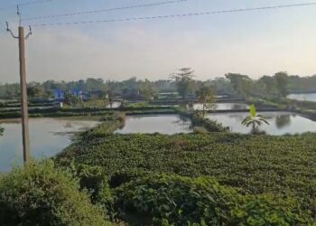 সাজু বুলড’জাৰ, ১৬ ডিচেম্বৰত পুনৰ আৰক্ষীৰ বৃহৎ উচ্ছেদ