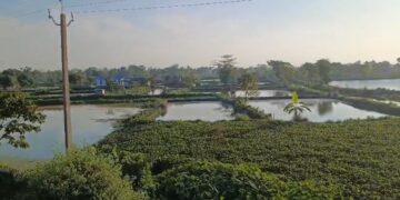 সাজু বুলড’জাৰ, ১৬ ডিচেম্বৰত পুনৰ আৰক্ষীৰ বৃহৎ উচ্ছেদ