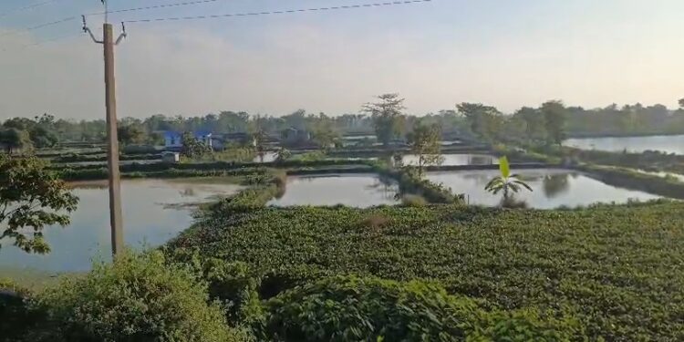 সাজু বুলড’জাৰ, ১৬ ডিচেম্বৰত পুনৰ আৰক্ষীৰ বৃহৎ উচ্ছেদ