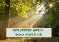 পুৱাৰ কেইটামান গুৰুত্বপূৰ্ণ খবৰেৰে আজিৰ দিনটো