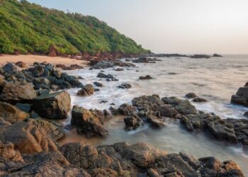 গোৱাত ২ ৰাছিয়ান মহিলাৰ সৈতে ভয়ংকৰ কাণ্ড, এজনক গ্ৰেপ্তাৰ আৰক্ষীৰ