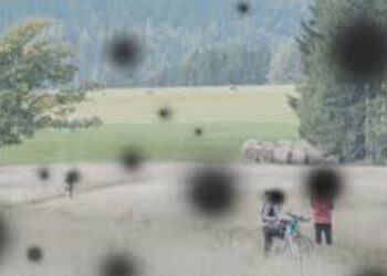 মধুমেহ ৰোগীয়ে হওঁক এলাৰ্ট! জানক আপোনাৰ চকুক কিদৰে অচল কৰে এই ৰোগে…