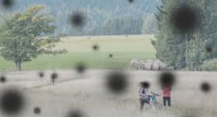 মধুমেহ ৰোগীয়ে হওঁক এলাৰ্ট! জানক আপোনাৰ চকুক কিদৰে অচল কৰে এই ৰোগে…