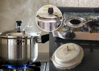 এইকেইটা ভুলৰ বাবেই ব্লা*ষ্ট হয় প্ৰেচাৰ কুকাৰ, জানক সবিশেষ…